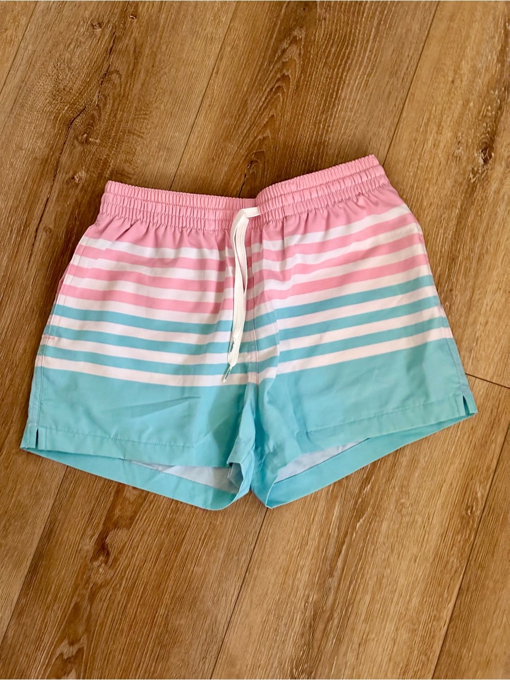 Chubbies Mens Size Small On The Horizons 4” Classic Swim Trunk